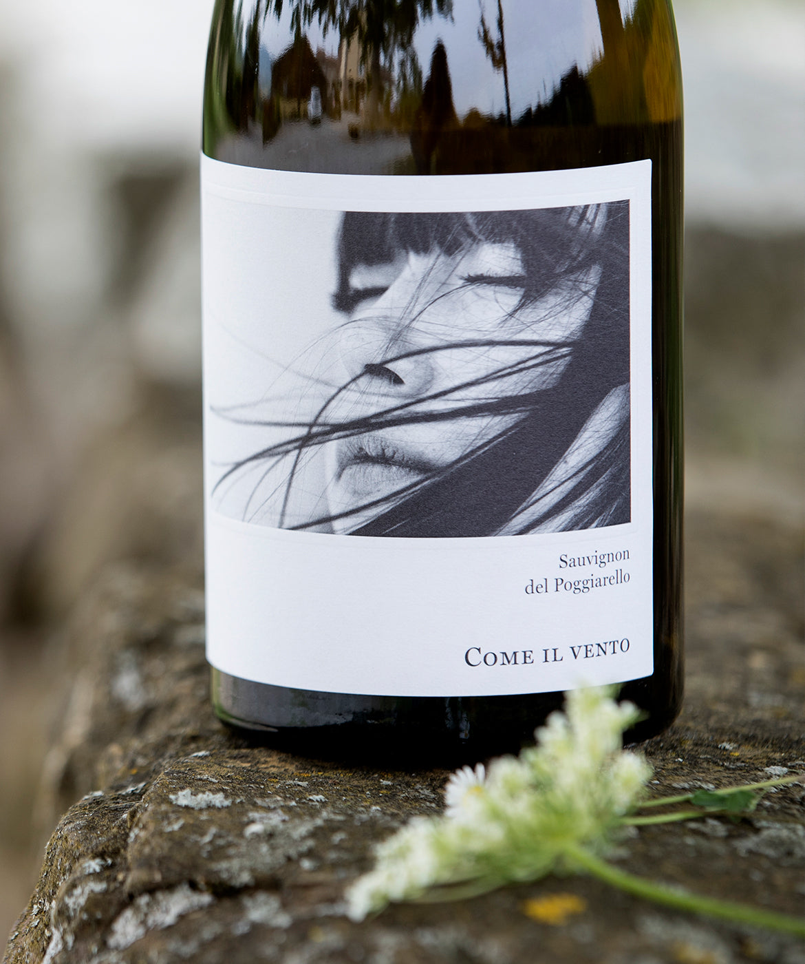 Come Il Vento Sauvignon Emilia IGT hvidvin flaske i sollys