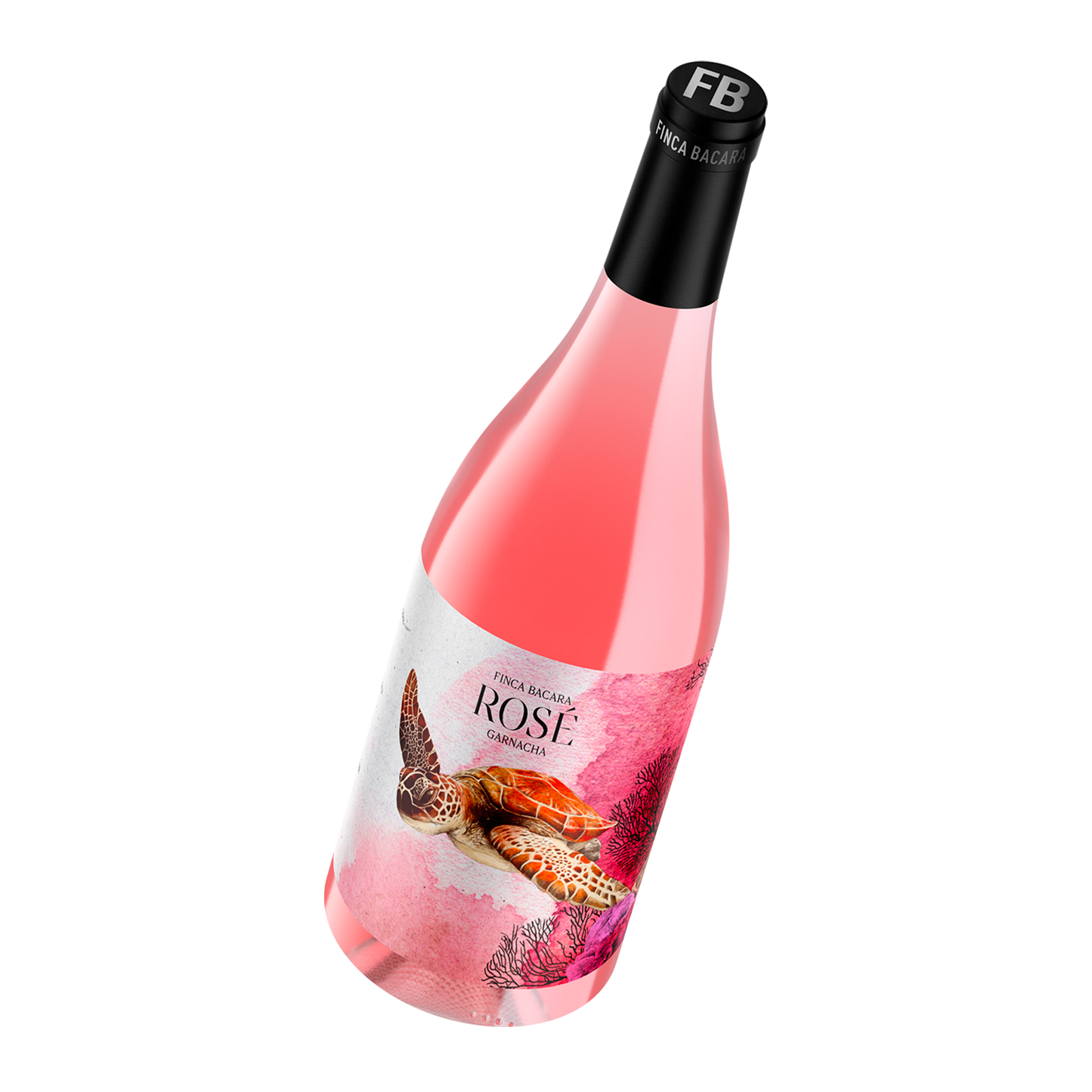 Nærbillede af Finca Bacara Rosé etikette med havskildpadde design